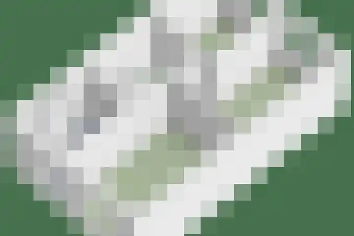Binnenhoek 6 Kampen thumbnail 57
