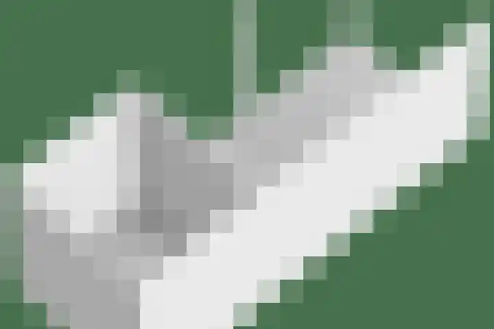 Binnenhoek 6 Kampen thumbnail 59