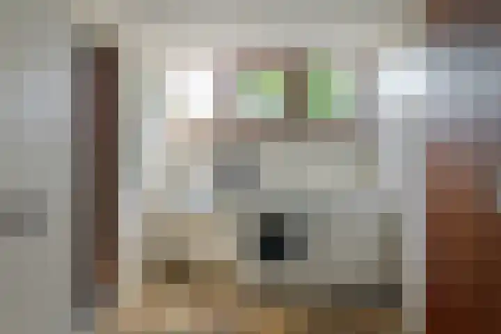 Binnenhof 38 Franeker thumbnail 19