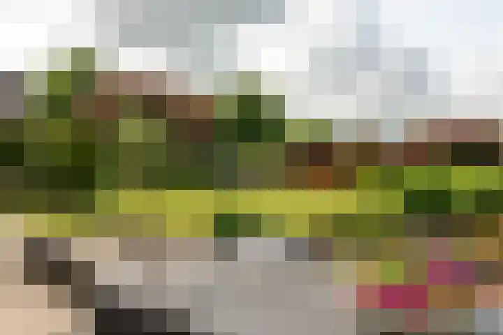 Binnenhof 38 Franeker thumbnail 7