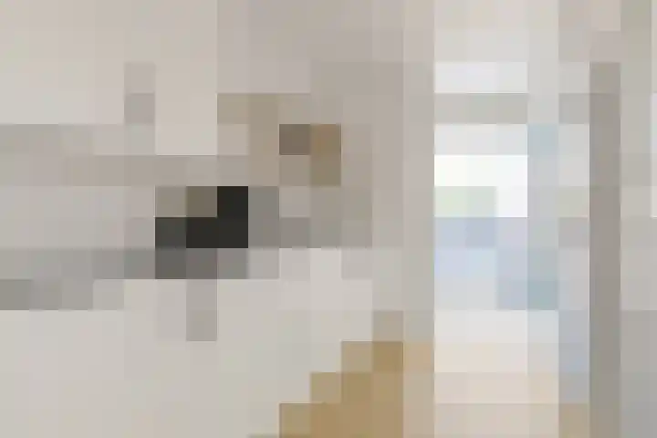 Binnenkade 16 Gouda thumbnail 7