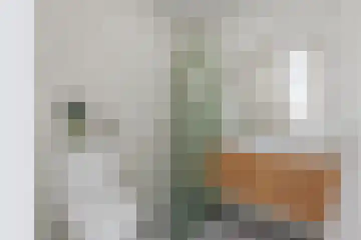 Binnenkade 18 Gouda thumbnail 13