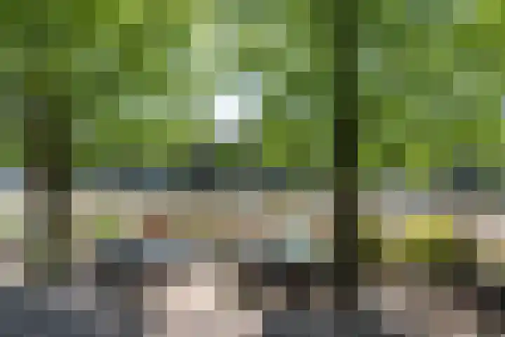 Binnenkant 34 2 Amsterdam thumbnail 10