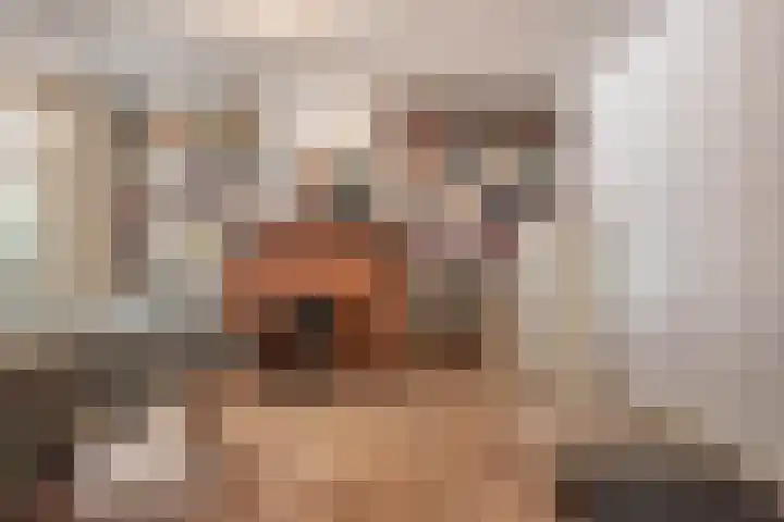 Binnenkant 34 2 Amsterdam thumbnail 35