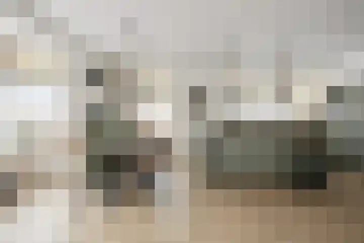 Binnenkruier 1 Espel thumbnail 17