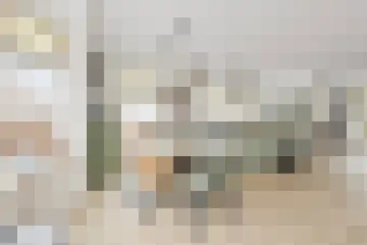 Binnenkruier 1 Espel thumbnail 18