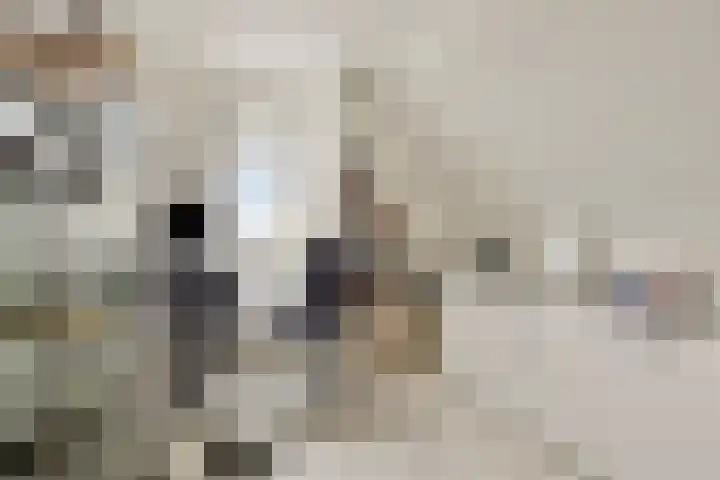 Binnenkruier 1 Espel thumbnail 35