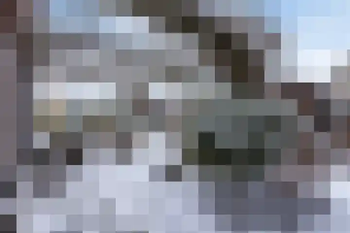 Binnenkruier 1 Espel thumbnail 38