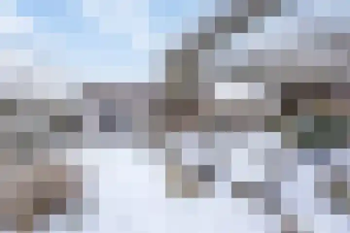 Binnenkruier 1 Espel thumbnail 41