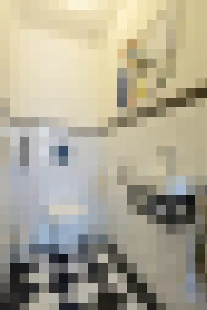 Binnenkruier 1 Espel thumbnail 5