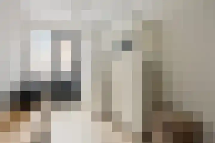 Binnenkruier 1 Espel thumbnail 8