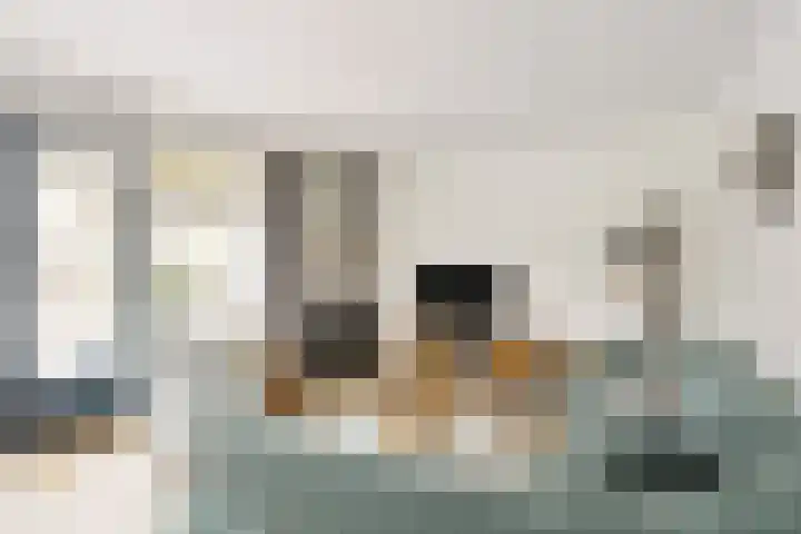 Binnenkruier 1 Espel thumbnail 9