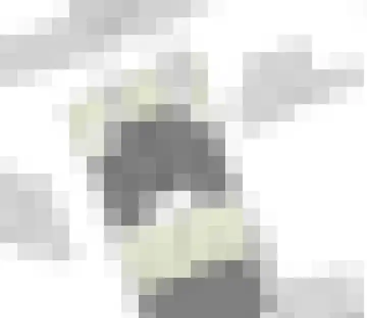 Binnenpas 21 Heesch thumbnail 5