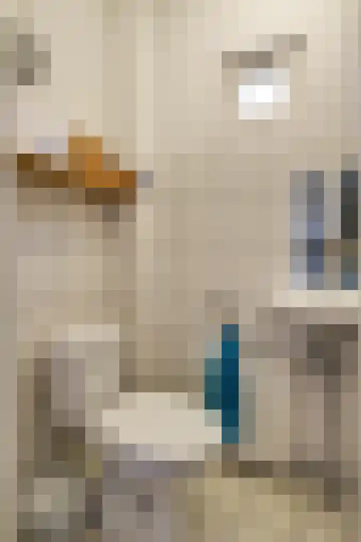 Binnenplaats 32 Blokker thumbnail 18