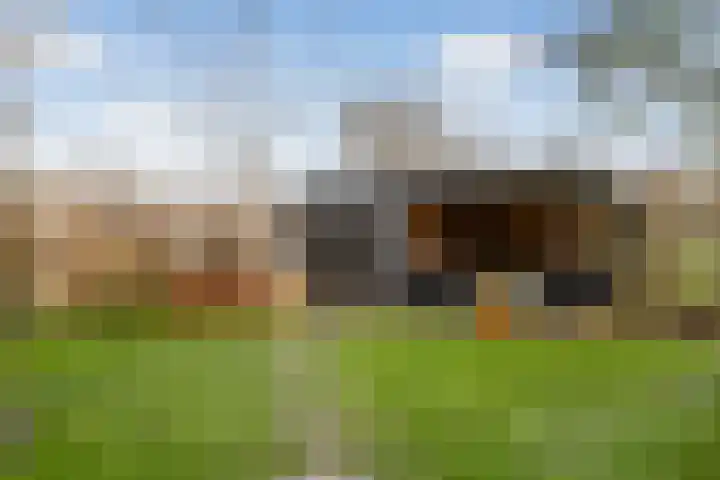 Binnenplaats 32 Blokker thumbnail 20