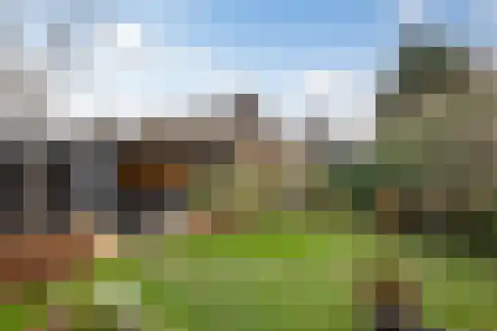 Binnenplaats 32 Blokker thumbnail 21