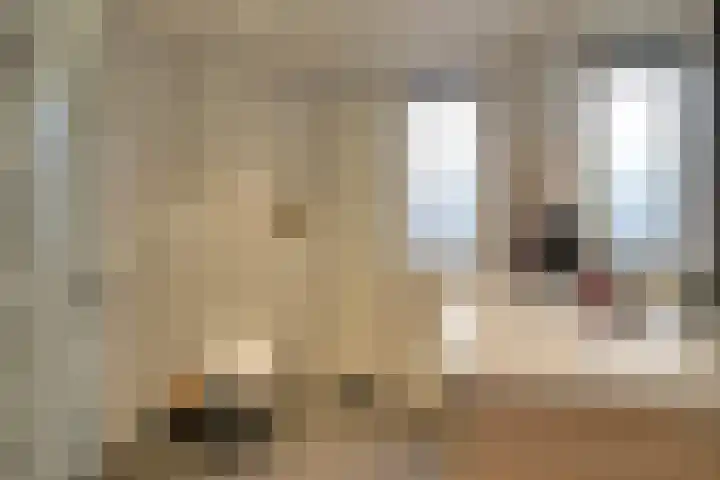 Binnenplaats 32 Blokker thumbnail 27