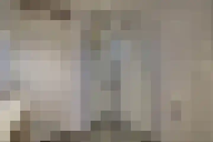 Binnenplaats 32 Blokker thumbnail 28
