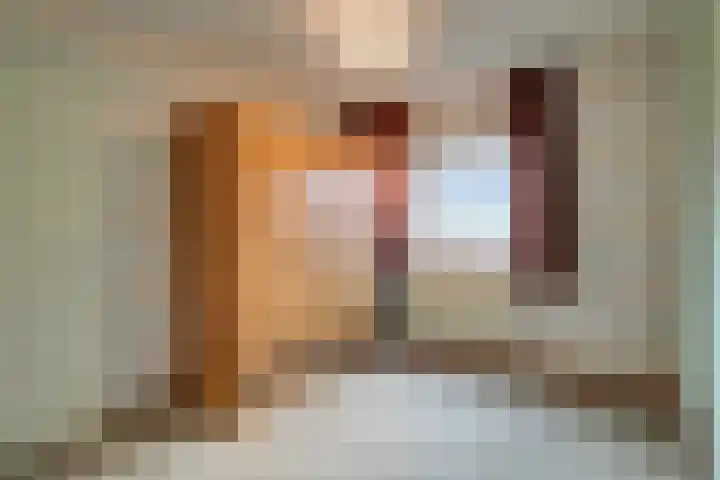 Binnenplaats 32 Blokker thumbnail 30