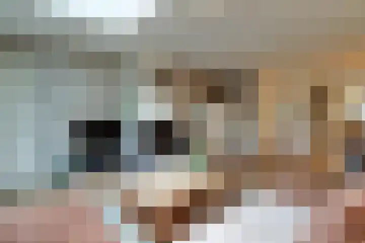 Binnenplaats 32 Blokker thumbnail 8