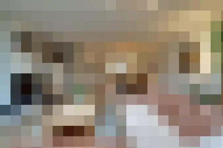 Binnenplaats 32 Blokker thumbnail 9