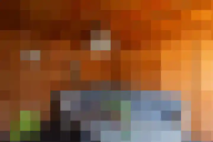 Binnenplaats 70 Blokker thumbnail 46