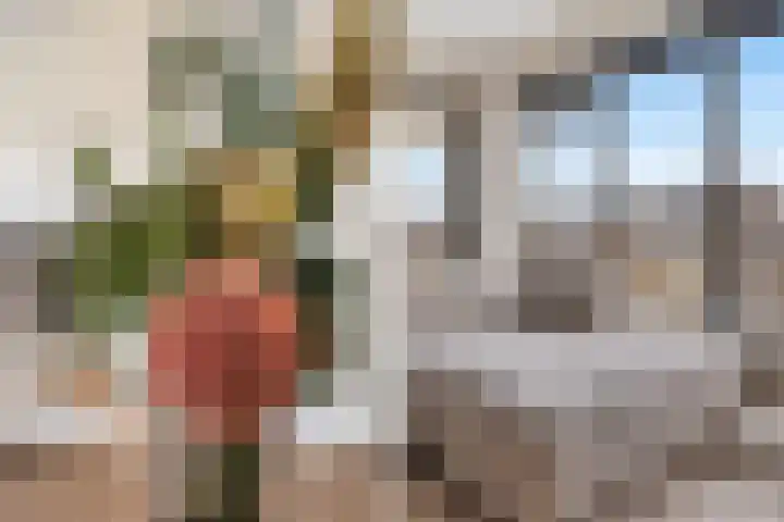 Binnenrotte 273 Rotterdam thumbnail 20