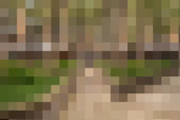 Binnenrotte 273 Rotterdam thumbnail 38