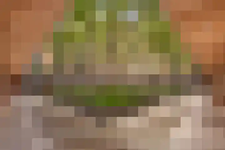 Binnenrotte 273 Rotterdam thumbnail 5
