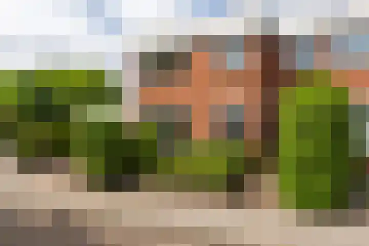 Binnensingel 1 in Strijen