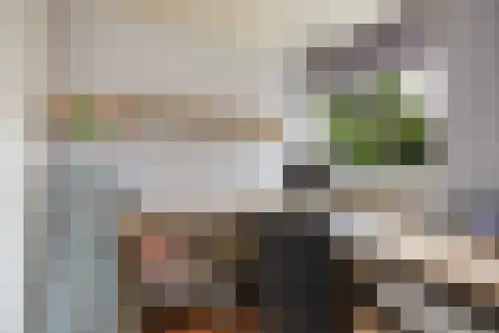 Binnensingel 1 Strijen thumbnail 16