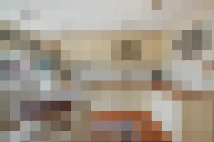 Binnensingel 1 Strijen thumbnail 22