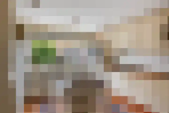 Binnensingel 1 Strijen thumbnail 23