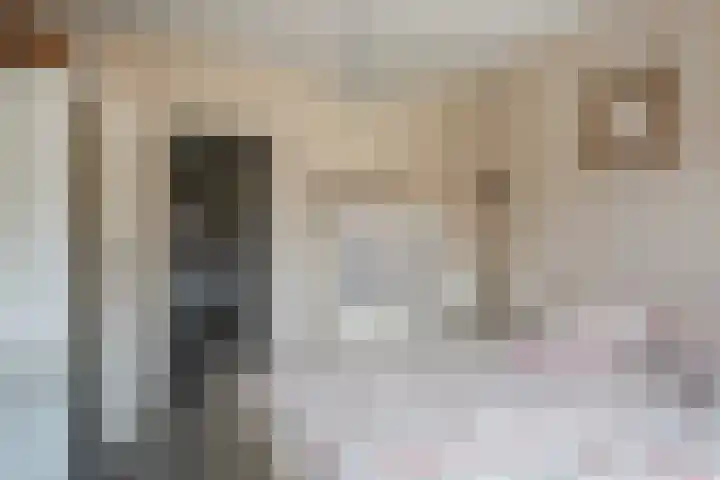 Binnensingel 1 Strijen thumbnail 30