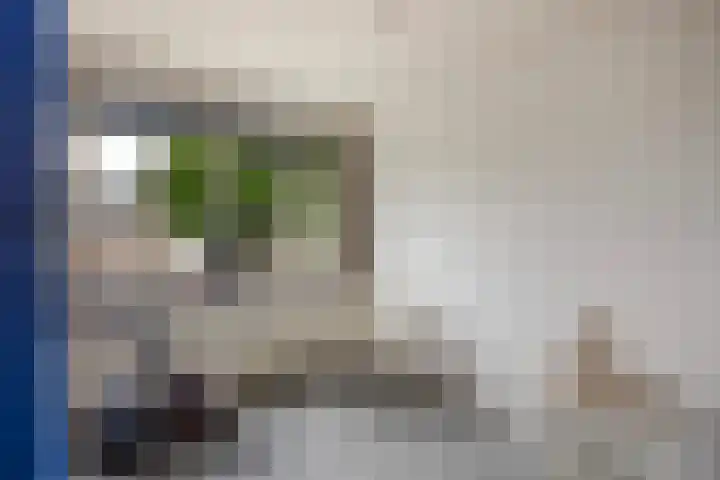 Binnensingel 1 Strijen thumbnail 34
