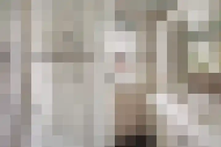 Binnensingel 1 Strijen thumbnail 37