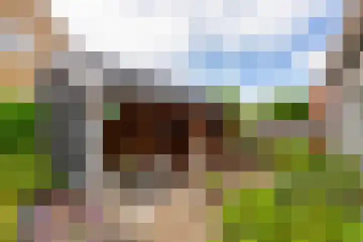 Binnensingel 1 Strijen thumbnail 38