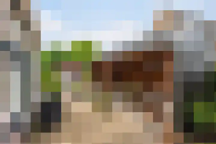 Binnensingel 1 Strijen thumbnail 39