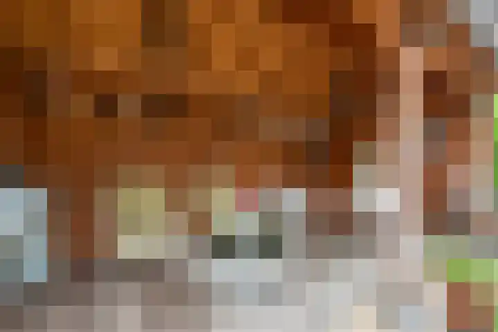 Binnensingel 1 Strijen thumbnail 40