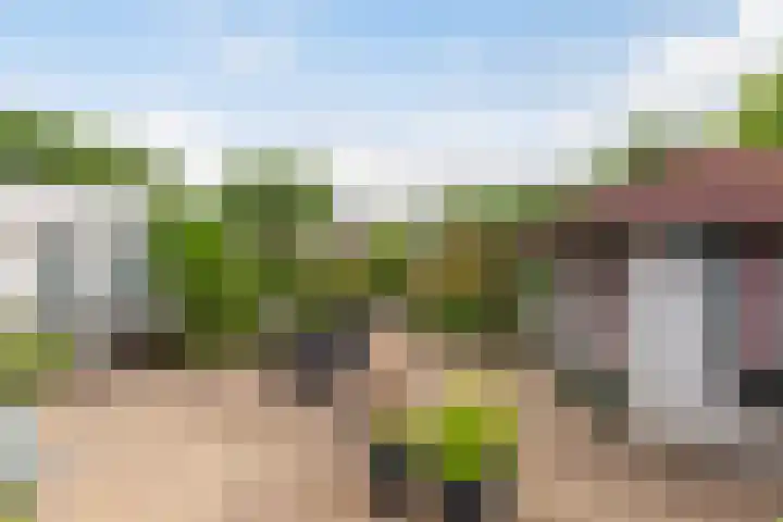 Binnensingel 1 Strijen thumbnail 42