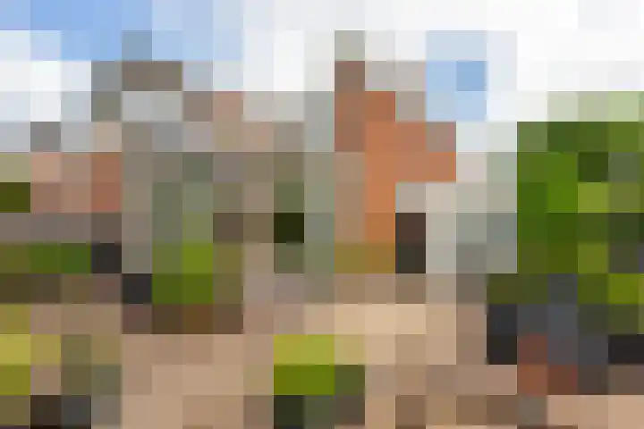 Binnensingel 1 Strijen thumbnail 43
