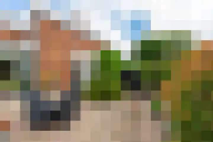 Binnensingel 1 Strijen thumbnail 44