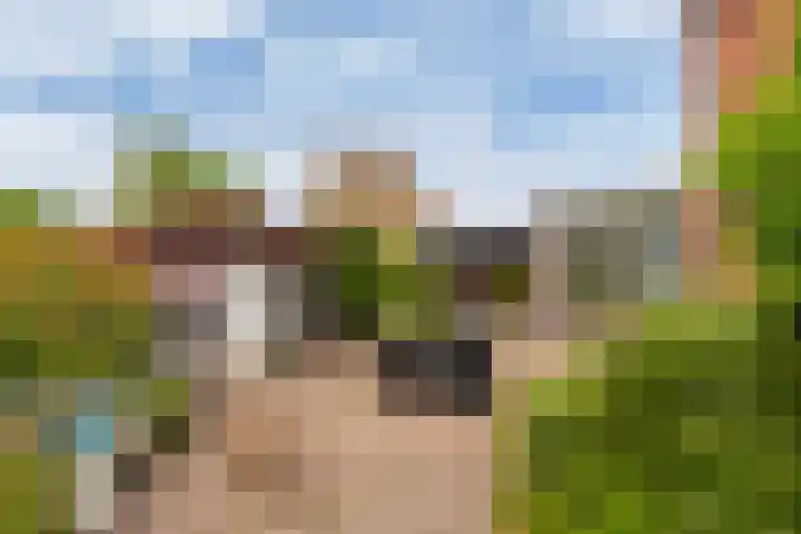Binnensingel 1 Strijen thumbnail 45