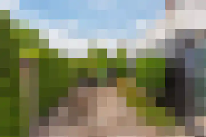 Binnensingel 1 Strijen thumbnail 47