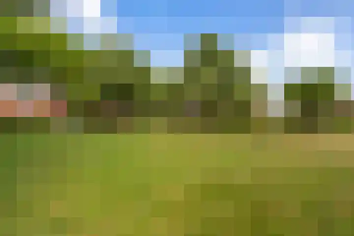 Binnensingel 1 Strijen thumbnail 53