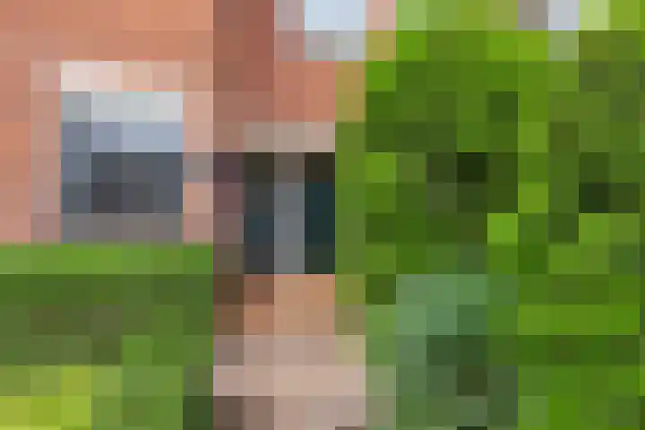 Binnensingel 1 Strijen thumbnail 7