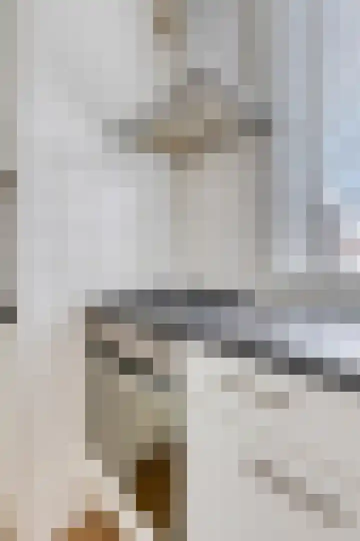 Binnensingel 34 Strijen thumbnail 19
