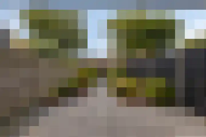 Binnensingel 34 Strijen thumbnail 33