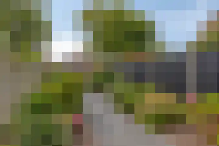 Binnensingel 34 Strijen thumbnail 34