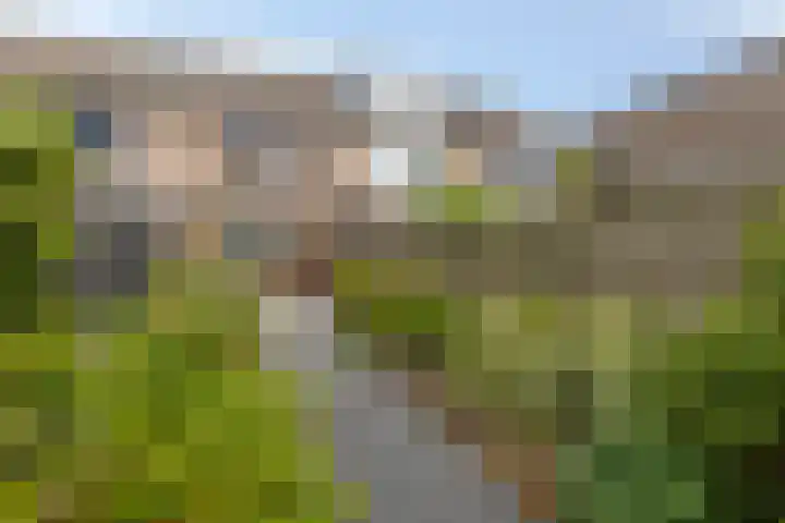 Binnensingel 34 Strijen thumbnail 35